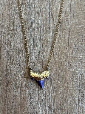 Long Lost Bioluminescence Shark Tooth Necklace